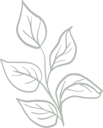 리프