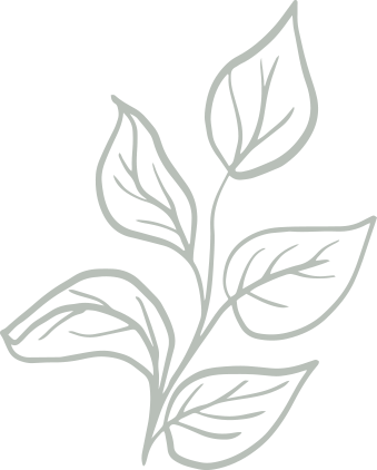 리프